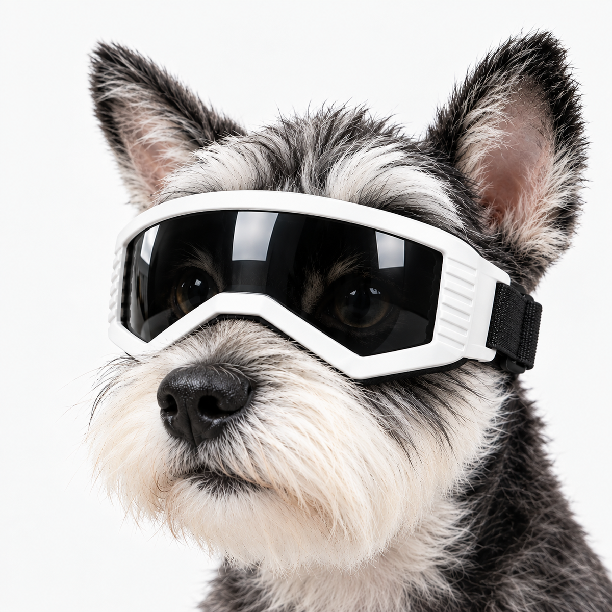 UV400 Pet Sunglasses-Cool Eye Protection for Cats & Dogs