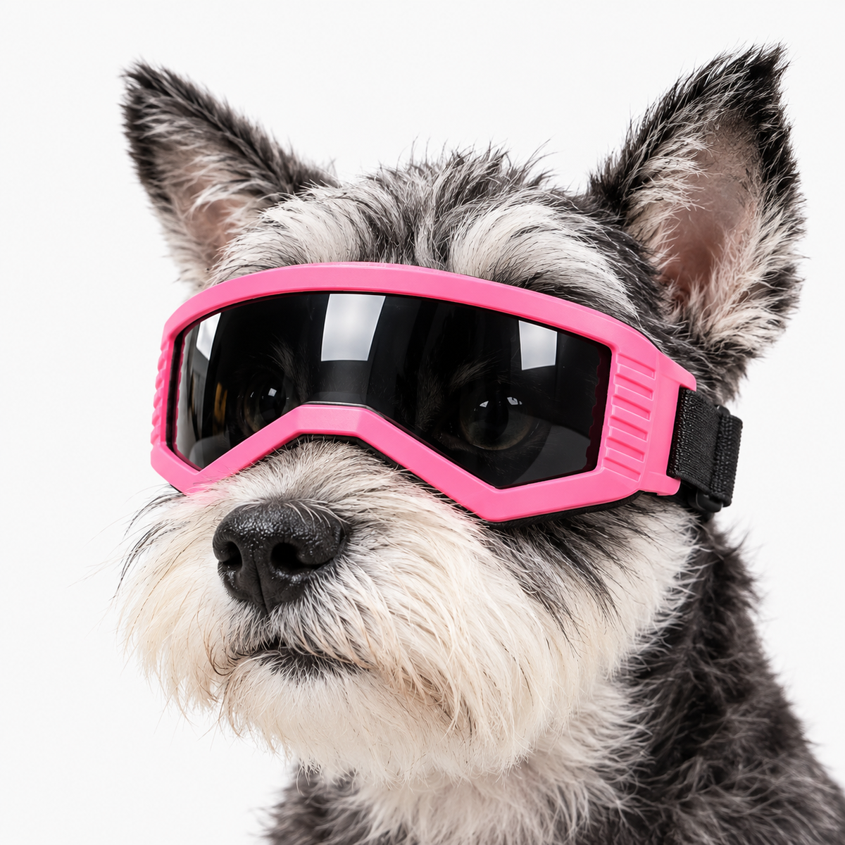 UV400 Pet Sunglasses-Cool Eye Protection for Cats & Dogs